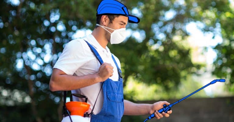 Pest Control Cost in Brisbane
