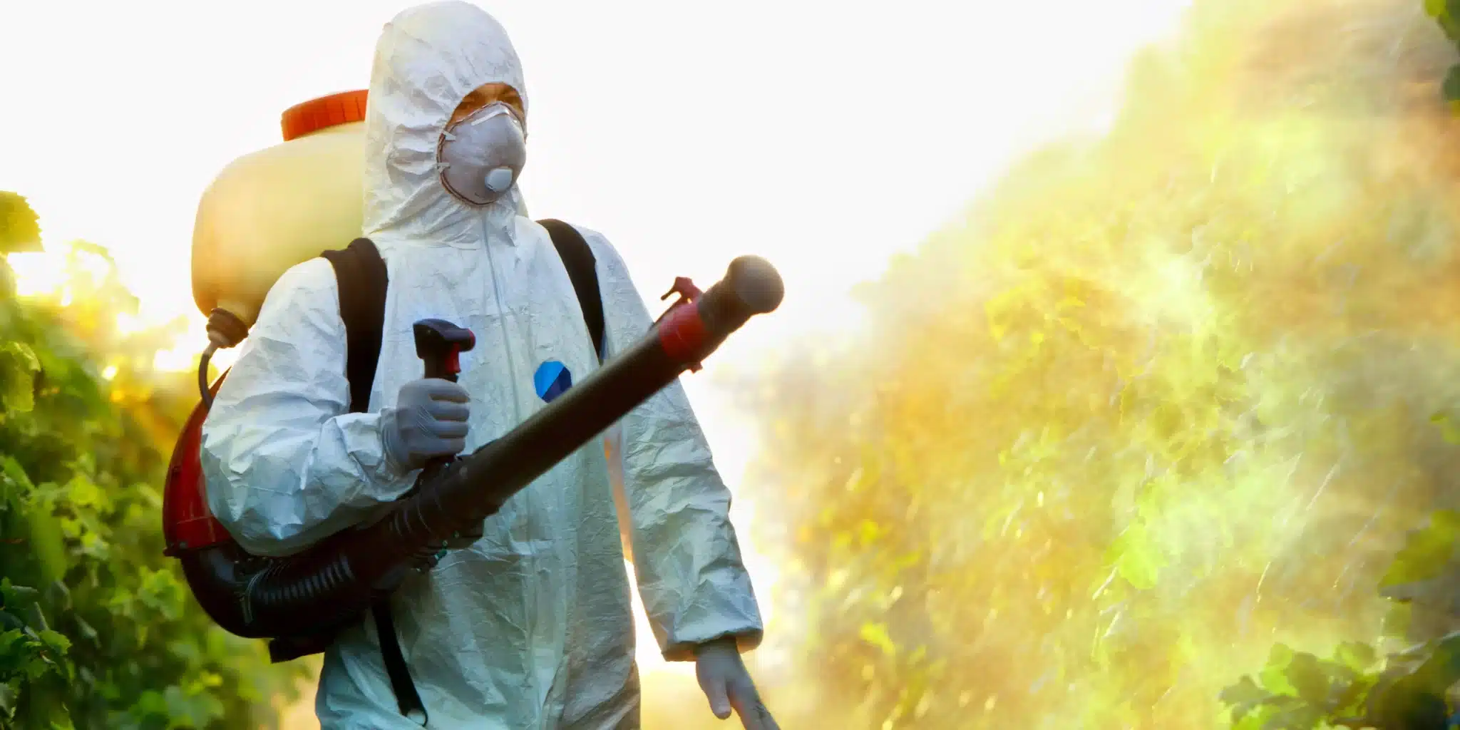 How to Choose Best Pest Cleaners in Your Area