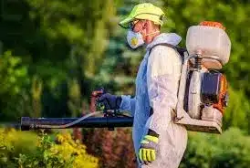 How to Choose Best Pest Cleaners in Your Area