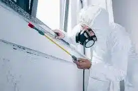 How to Choose Best Pest Cleaners in Your Area