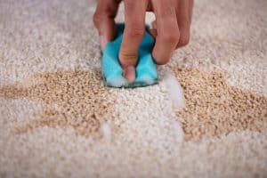 Top 10 Tips to Remove Tough Stains on Carpet 