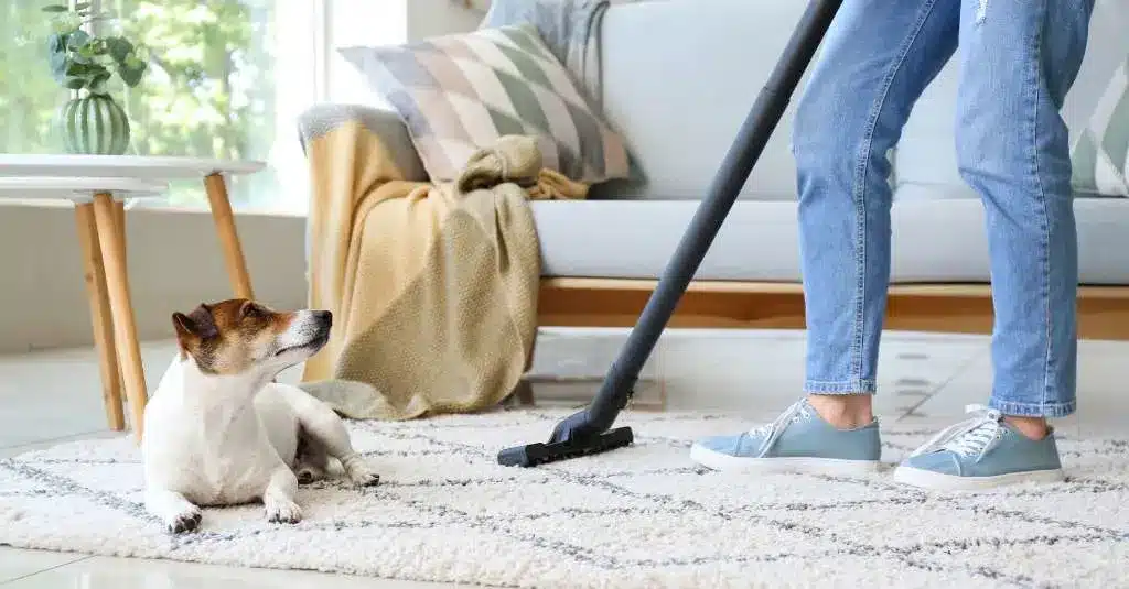 Top Home Cleaning Tips for Pet Owners