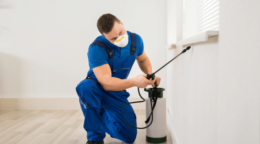 How Often Should You Schedule Professional Pest Control?
