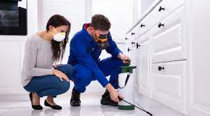 How Often Should You Schedule Professional Pest Control?