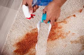 Hidden Costs in Bond Cleaning Every Tenant Should Know DIY Cleaning That Fails Inspection
